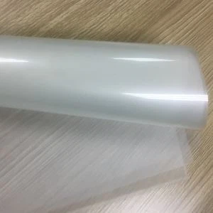 Silicona brillant Full de PET amb closca freda